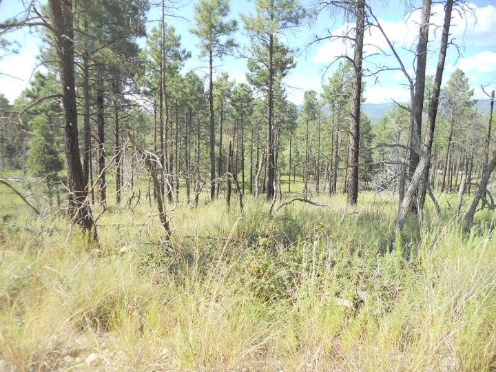 Land For Sale In Timberon NM LandForSaleStore