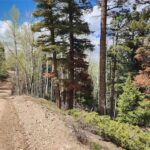 Sangre de Cristo Ranches Colorado Costilla county