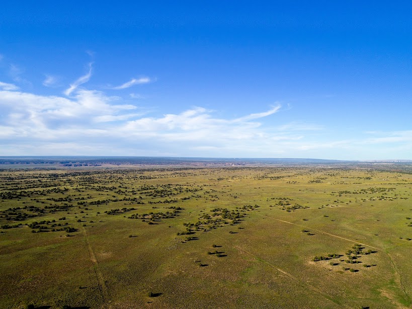 Land For Sale In White Mountain Shadows, Apache County, AZ LandForSaleStore