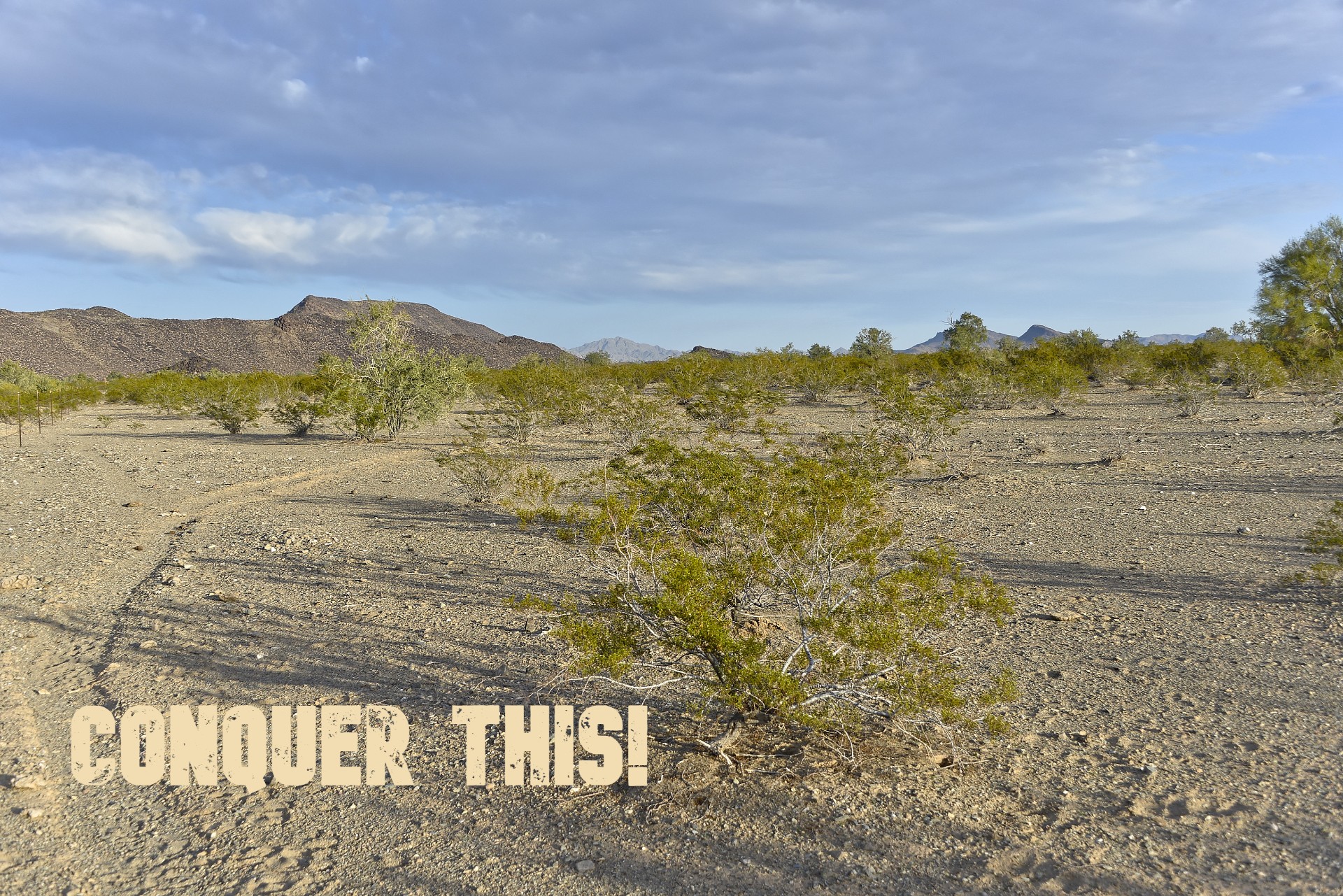 Land For Sale Vicksburg AZ La Paz County LandForSaleStore