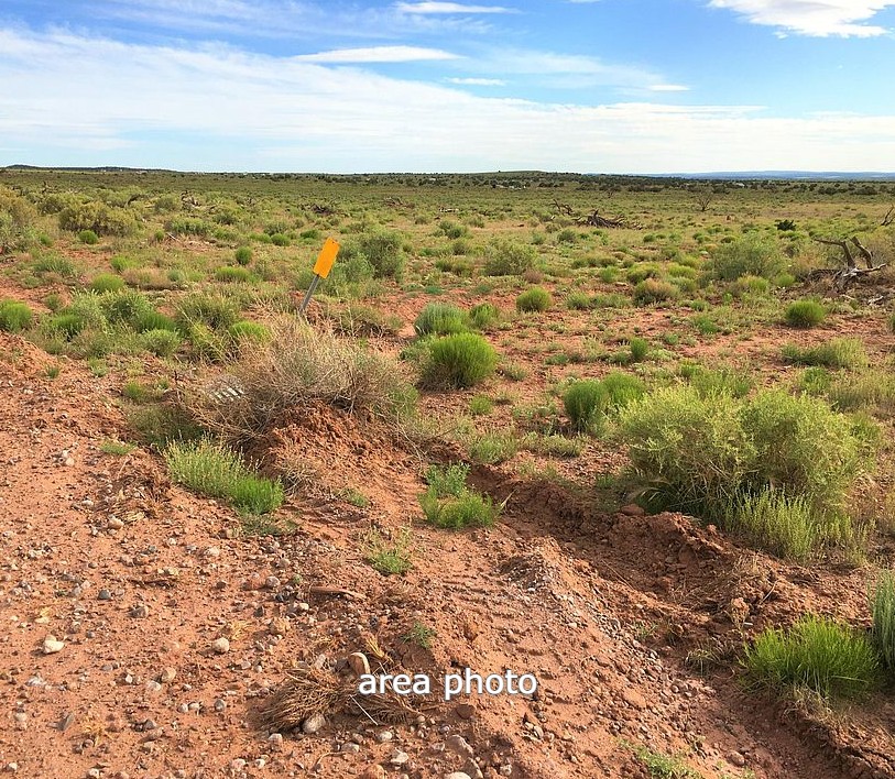 15 Ac Snowflake Land For Sale Navajo County AZ LandForSaleStore