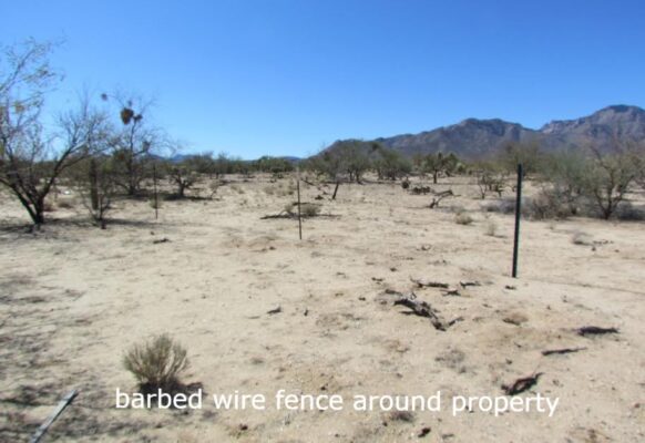 Tila 2 fence