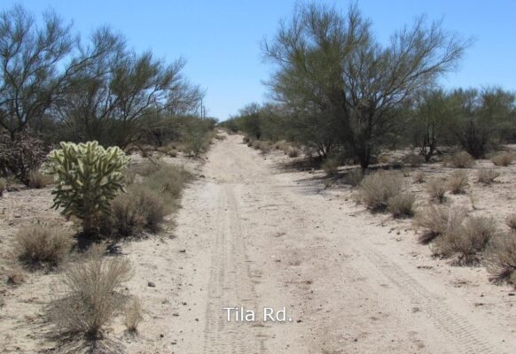Tila Rd.